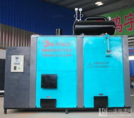 食用菌專用蒸汽環保鍋爐 綠色高效，助力食用菌產業可持續發展